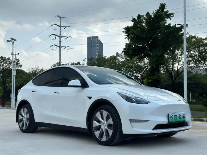 Model Y 2021 Model Standard Battery Life Rear-wheel drive version – фото 3