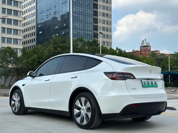 Model Y 2021 Model Standard Battery Life Rear-wheel drive version – фото 4
