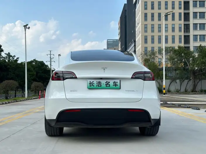 Model Y 2021 Model Standard Battery Life Rear-wheel drive version – фото 5