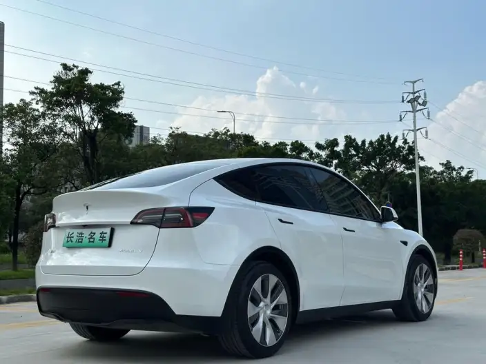 Model Y 2021 Model Standard Battery Life Rear-wheel drive version – фото 6