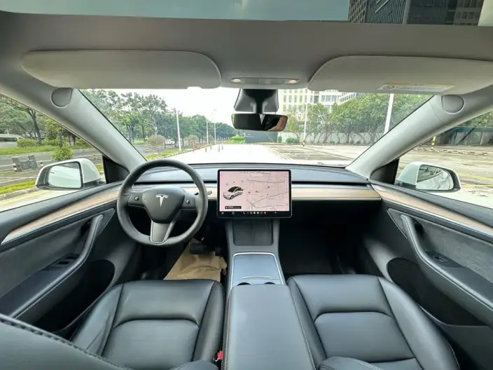 Model Y 2021 Model Standard Battery Life Rear-wheel drive version – фото 9