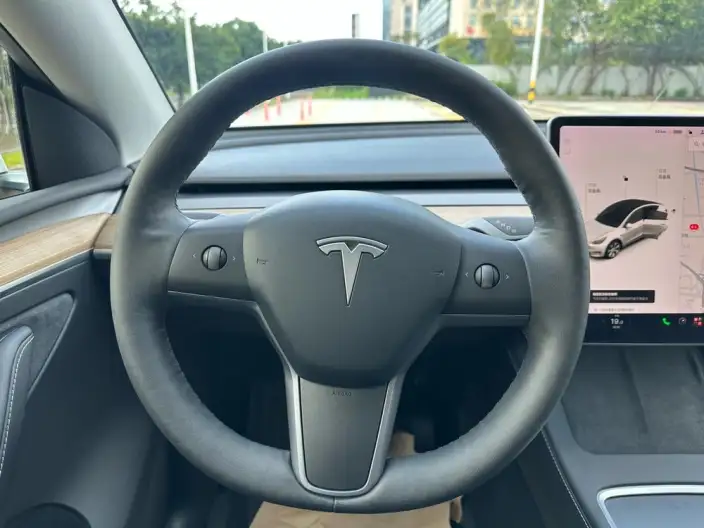 Model Y 2021 Model Standard Battery Life Rear-wheel drive version – фото 10