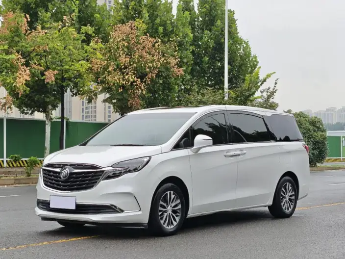 Buick GL8 2020 Model ES Luzun 653T Comfort Model – фото 1