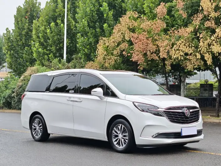 Buick GL8 2020 Model ES Luzun 653T Comfort Model – фото 3