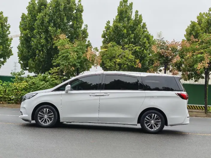 Buick GL8 2020 Model ES Luzun 653T Comfort Model – фото 4