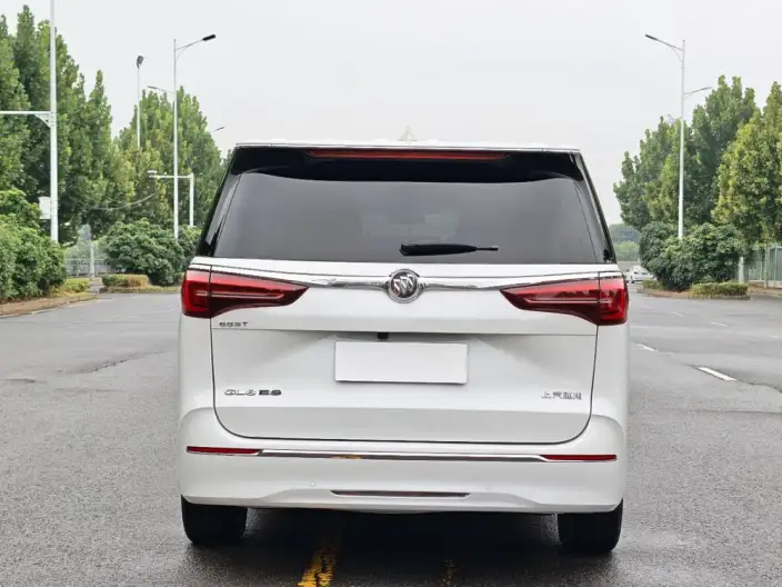 Buick GL8 2020 Model ES Luzun 653T Comfort Model – фото 6