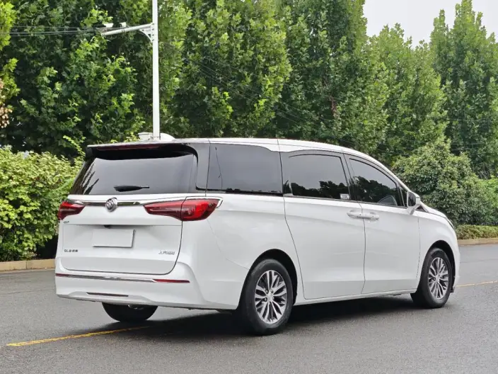 Buick GL8 2020 Model ES Luzun 653T Comfort Model – фото 7