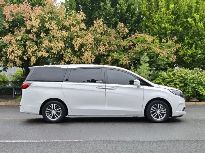 Buick GL8 2020 Model ES Luzun 653T Comfort Model – фото 8