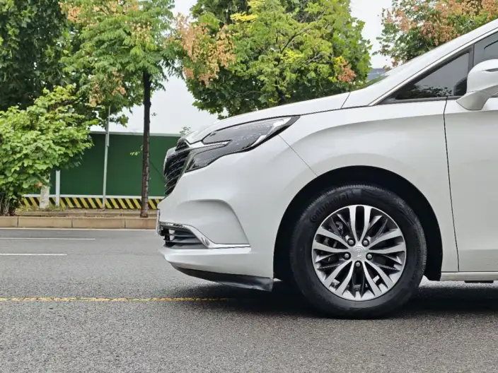 Buick GL8 2020 Model ES Luzun 653T Comfort Model – фото 9
