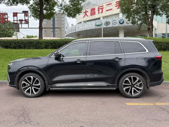 Lingyu 2023 Model EcoBoost 225 7 seat Zun Ling Model Plus2/3/2 – фото 3