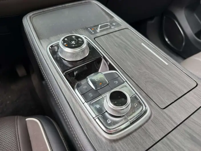 Lingyu 2023 Model EcoBoost 225 7 seat Zun Ling Model Plus2/3/2 – фото 9