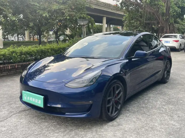 Model 3 2022 Model Performance High performance All-wheel drive version – фото 1