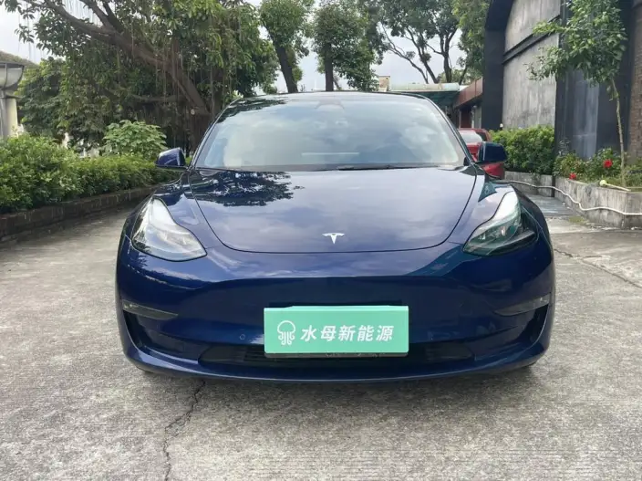 Model 3 2022 Model Performance High performance All-wheel drive version – фото 2