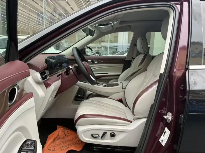 Lingyu 2021 Model EcoBoost 225 6 seat Zun Ling Model – фото 8