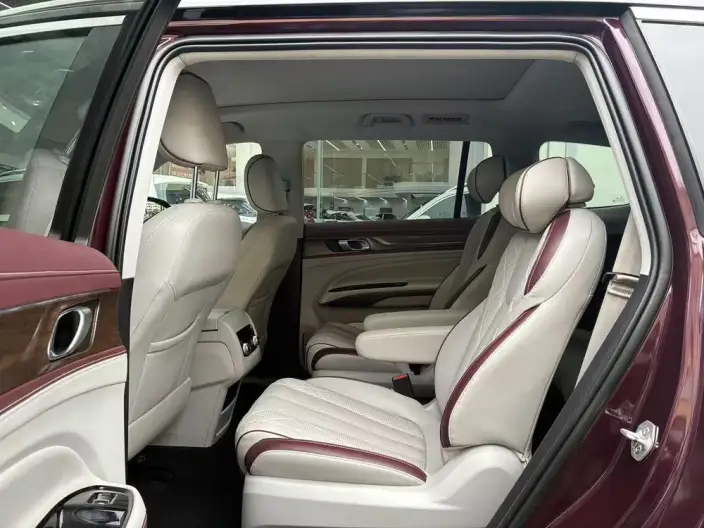 Lingyu 2021 Model EcoBoost 225 6 seat Zun Ling Model – фото 9