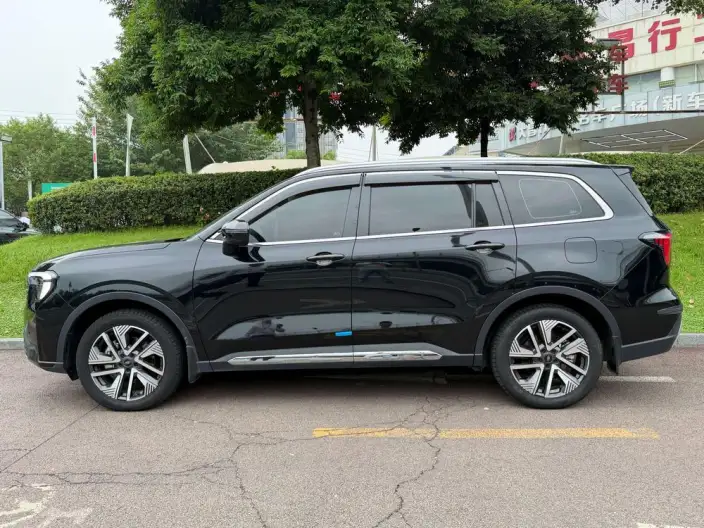 Ford Territory PHEV 2025 Model Zun Ling Model – фото 3