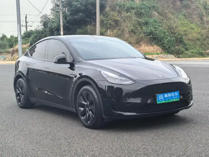 Model Y 2024 Model Rear-wheel drive version – фото 3