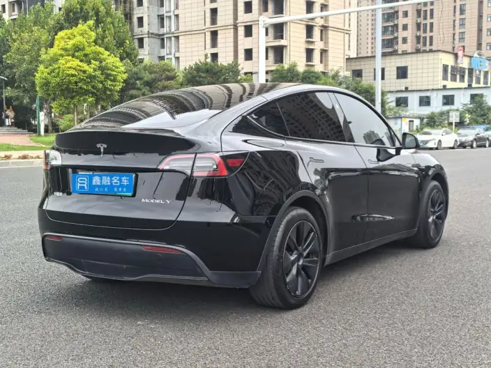Model Y 2024 Model Rear-wheel drive version – фото 6