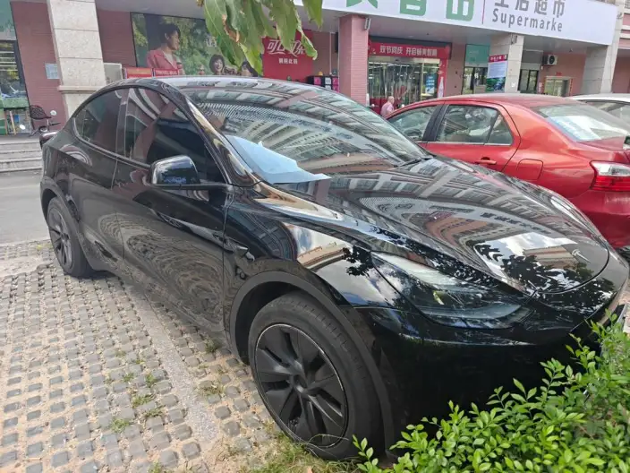 Model Y 2023 Model Rear-wheel drive version – фото 2