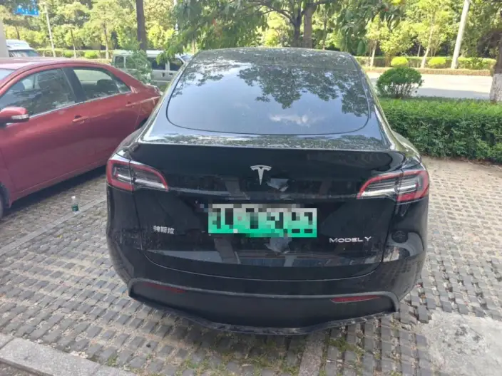 Model Y 2023 Model Rear-wheel drive version – фото 4