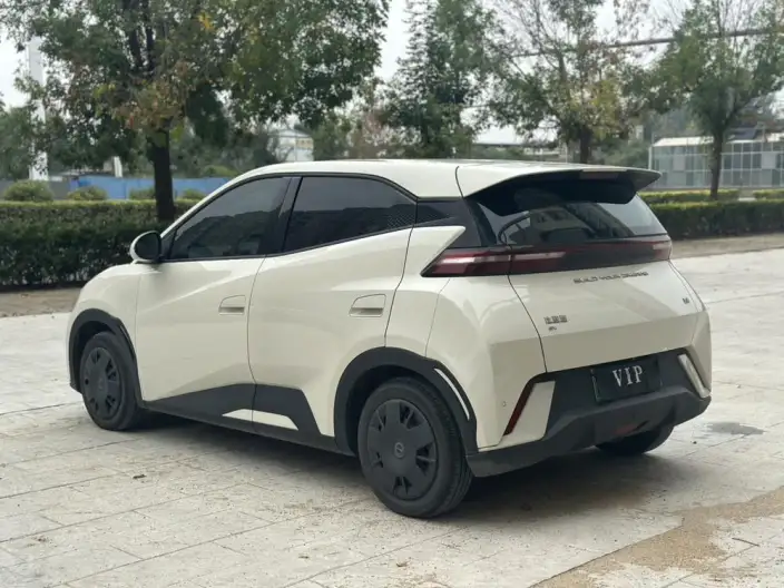 BYD Seagull 2023 Model Vitality Edition – фото 5