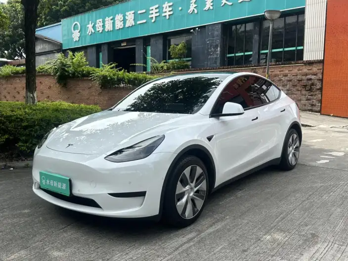 Model Y 2022 Model Rear-wheel drive version – фото 1
