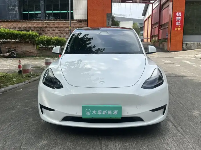 Model Y 2022 Model Rear-wheel drive version – фото 2
