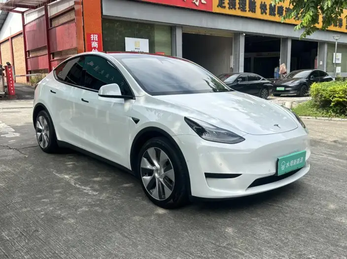Model Y 2022 Model Rear-wheel drive version – фото 3