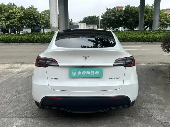 Model Y 2022 Model Rear-wheel drive version – фото 6
