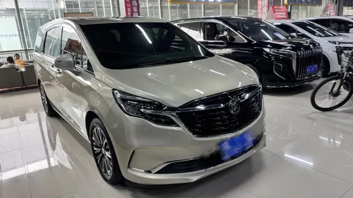 Buick GL8 2021 Model ES Luzun 653T Exclusive Model – фото 3