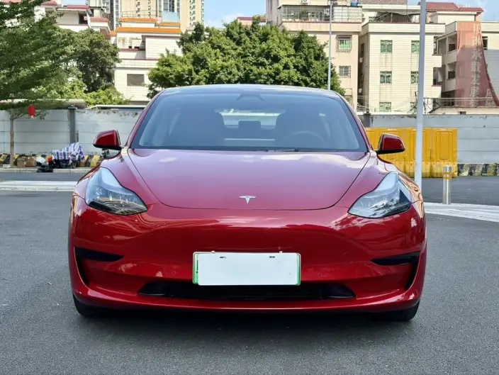 Model 3 2021 Model Standard Battery Life Rear Drive L Class Edition – фото 2