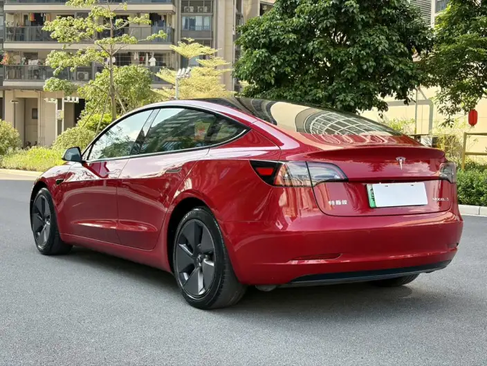 Model 3 2021 Model Standard Battery Life Rear Drive L Class Edition – фото 4