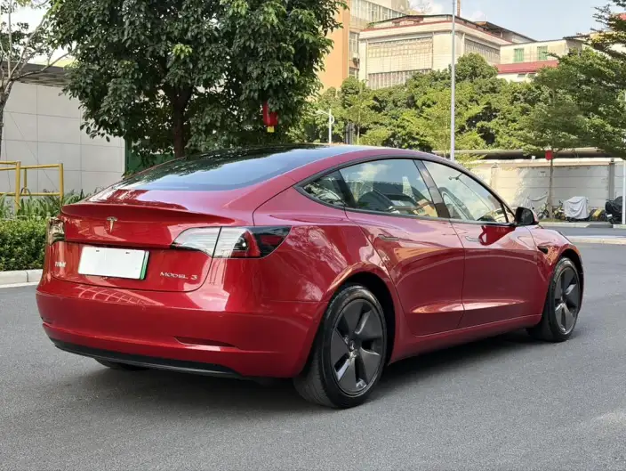 Model 3 2021 Model Standard Battery Life Rear Drive L Class Edition – фото 6