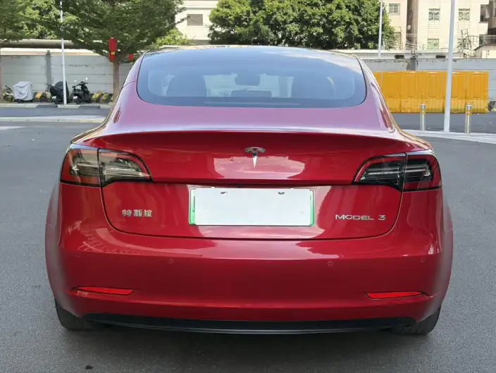 Model 3 2021 Model Standard Battery Life Rear Drive L Class Edition – фото 10