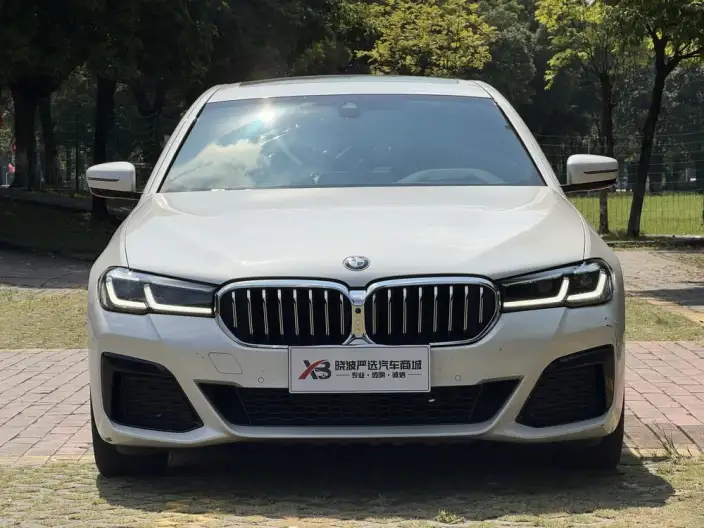 BMW 5 Series 2021 Model Facelift 530Li Exclusive Model M Sports Set – фото 2