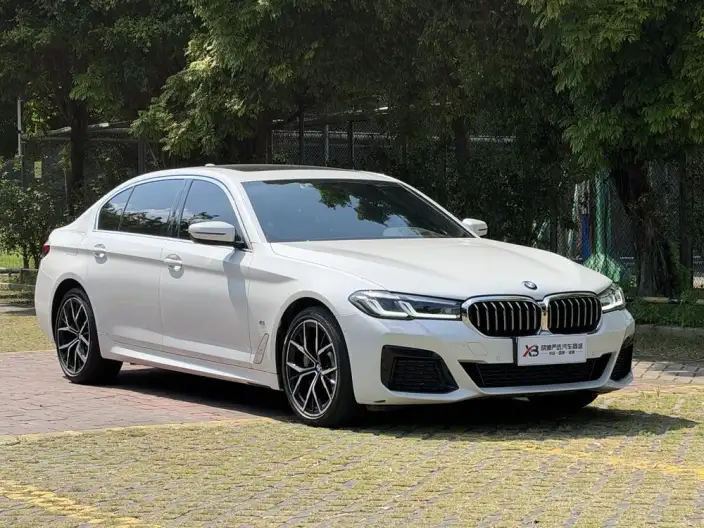 BMW 5 Series 2021 Model Facelift 530Li Exclusive Model M Sports Set – фото 3