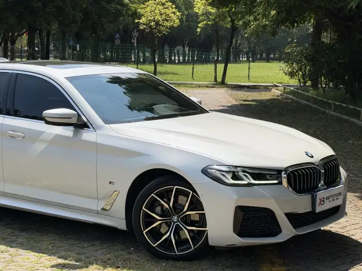 BMW 5 Series 2021 Model Facelift 530Li Exclusive Model M Sports Set – фото 9