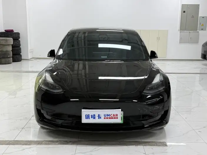 Model 3 2021 Model Standard Battery Life Rear Drive L Class Edition – фото 2