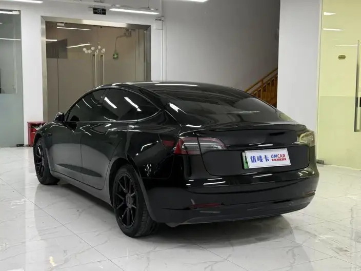 Model 3 2021 Model Standard Battery Life Rear Drive L Class Edition – фото 4