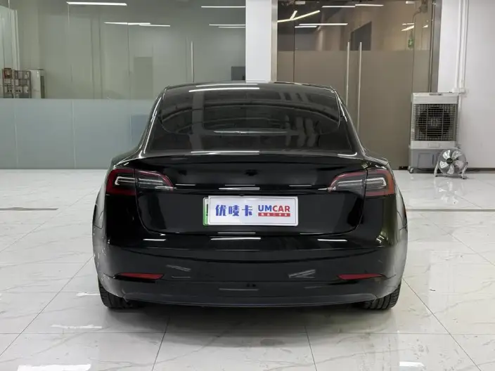 Model 3 2021 Model Standard Battery Life Rear Drive L Class Edition – фото 5
