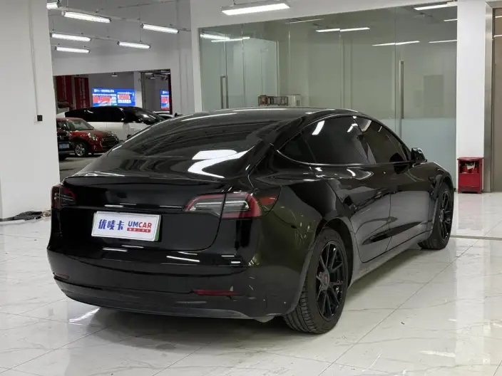 Model 3 2021 Model Standard Battery Life Rear Drive L Class Edition – фото 6