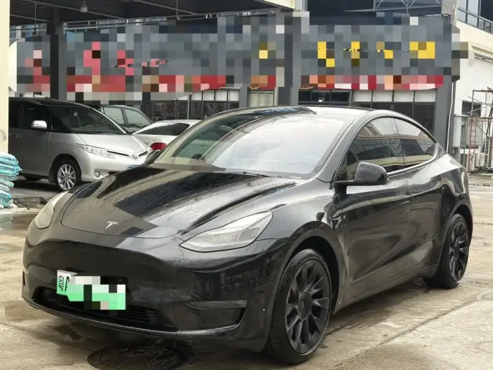 Model Y 2021 Model Standard Battery Life Rear-wheel drive version – фото 1