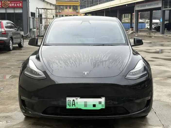 Model Y 2021 Model Standard Battery Life Rear-wheel drive version – фото 2