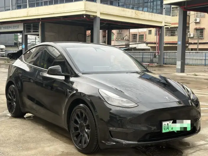 Model Y 2021 Model Standard Battery Life Rear-wheel drive version – фото 3