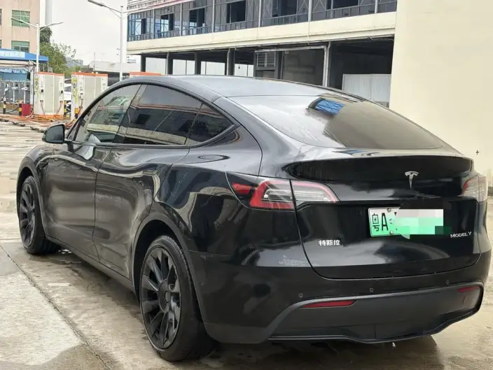 Model Y 2021 Model Standard Battery Life Rear-wheel drive version – фото 4