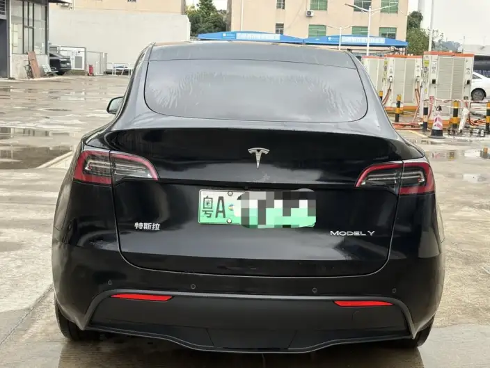 Model Y 2021 Model Standard Battery Life Rear-wheel drive version – фото 5