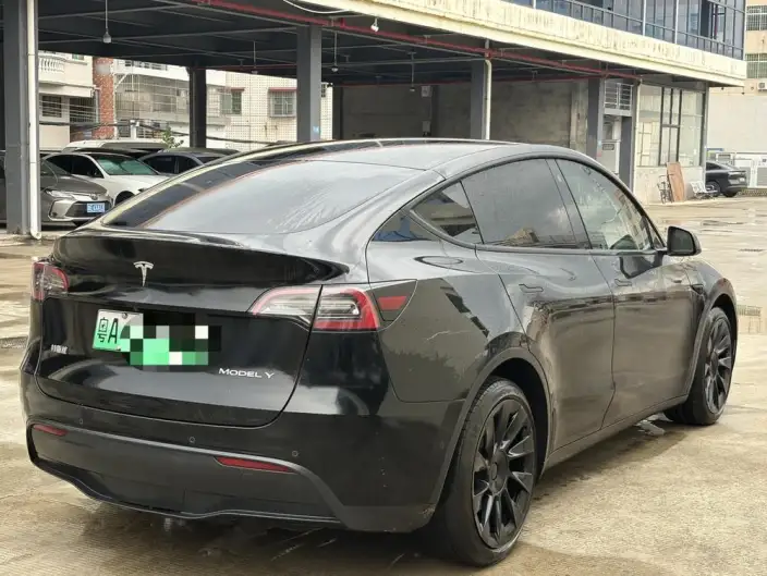 Model Y 2021 Model Standard Battery Life Rear-wheel drive version – фото 6