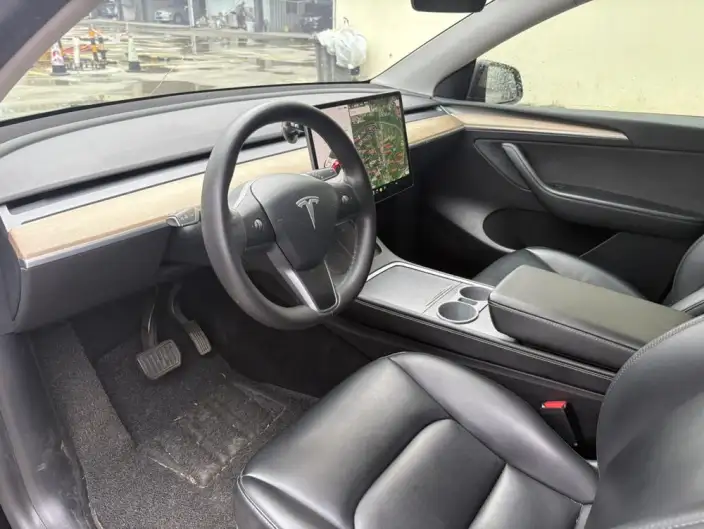 Model Y 2021 Model Standard Battery Life Rear-wheel drive version – фото 9