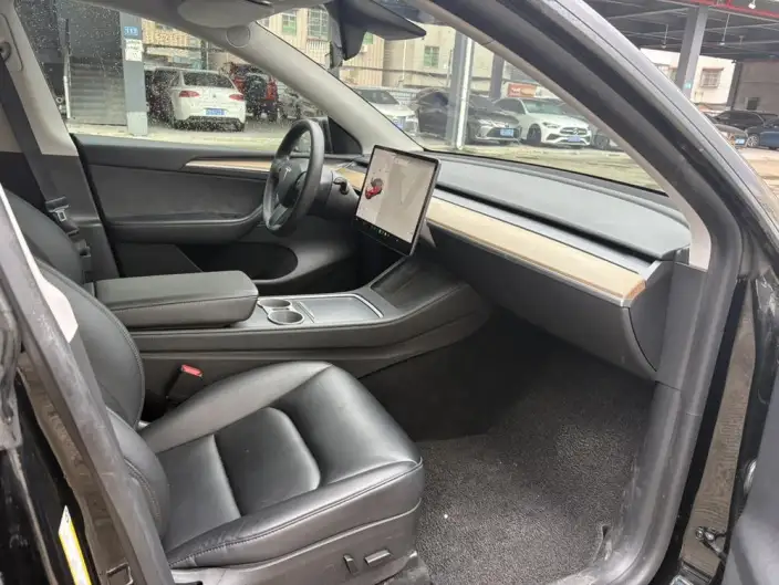 Model Y 2021 Model Standard Battery Life Rear-wheel drive version – фото 10
