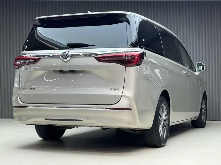 Buick GL8 2022 Model ES Luzun 653T Comfort Model – фото 3